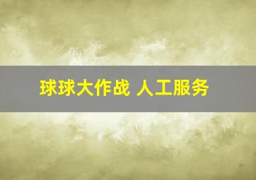 球球大作战 人工服务